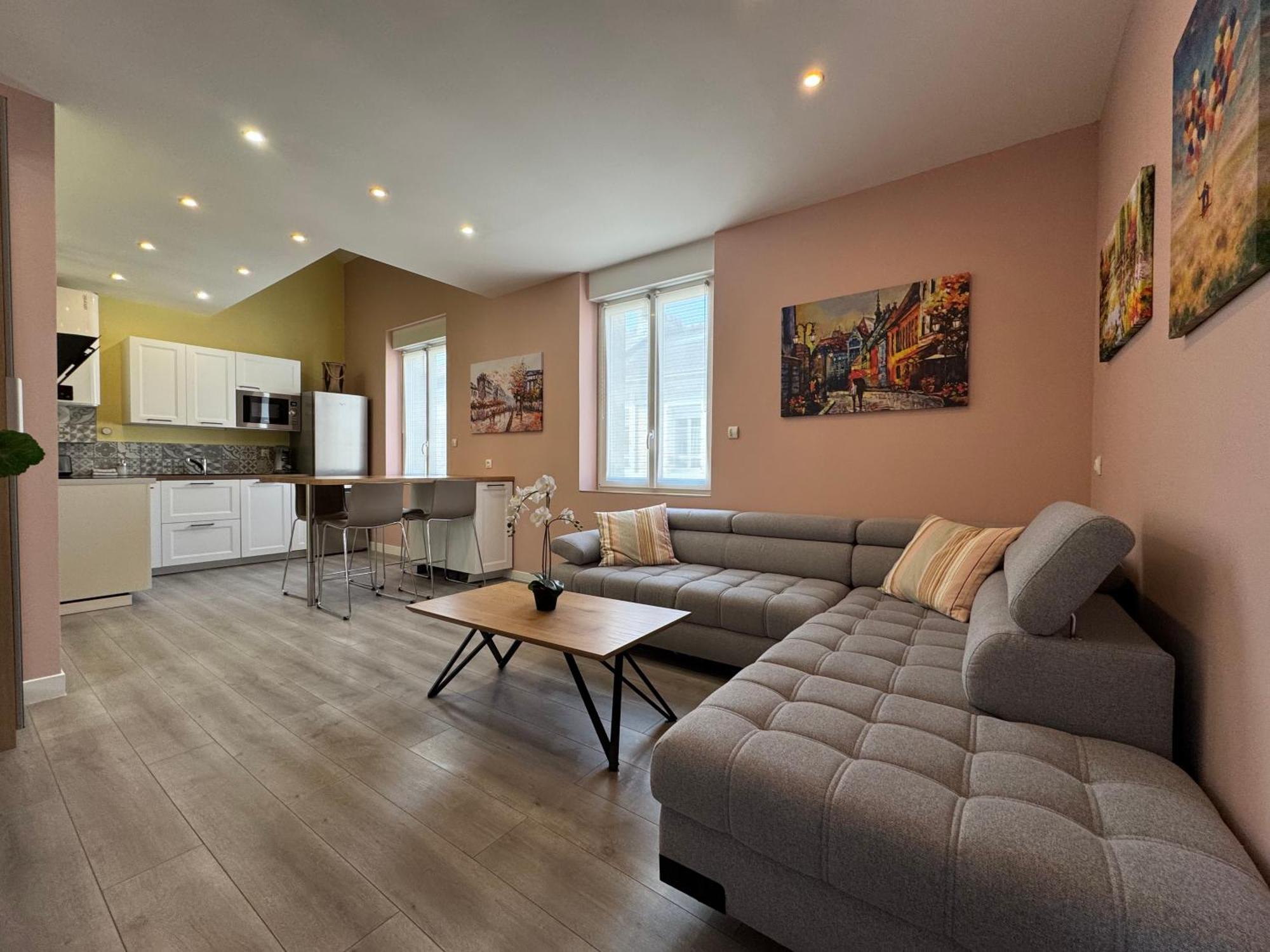 70M2 Climatise - Parking Prive - Lycee Roosevelt - Reims Arena Apartment Luaran gambar